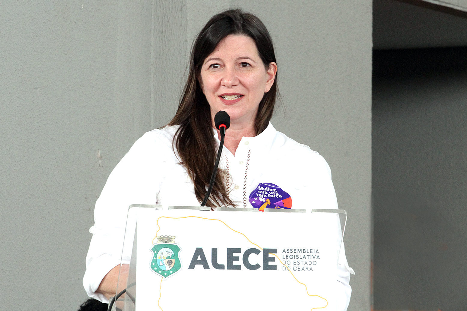 Lia Gomes defende Cid Gomes como presidente do PDT no Ceará: “justíssimo”
