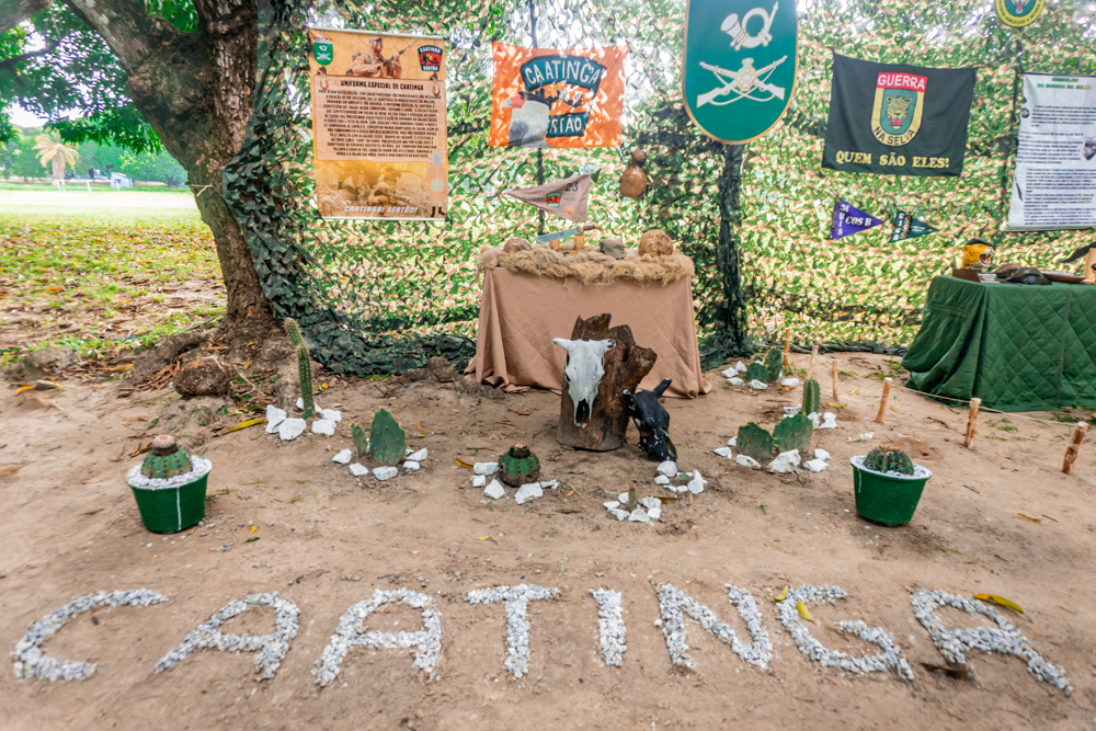 Pelotão Ceará Na Selva (3)