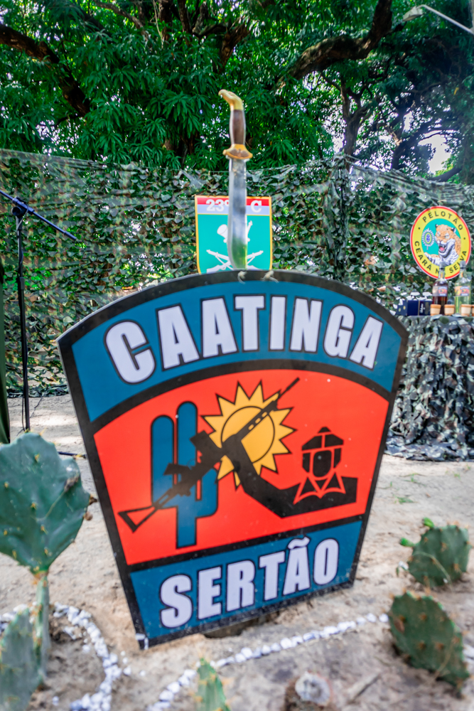 Pelotão Ceará Na Selva (8)