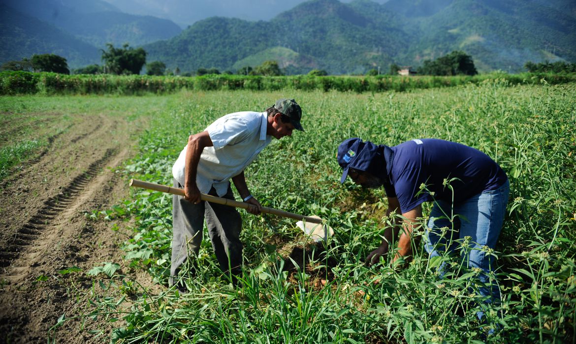 Agricultura familiar é 8ª maior produtora de alimentos do mundo Agricultura familiar é 8ª maior produtora de alimentos do mundo