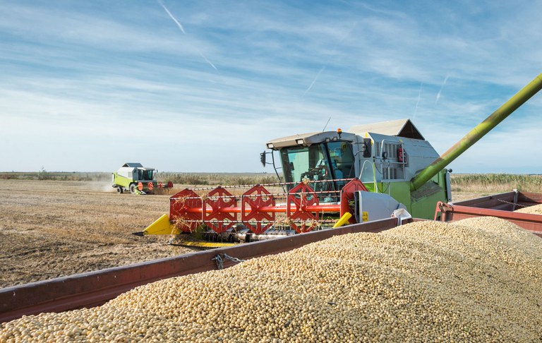 Exportações do agronegócio brasileiro atingem o valor recorde de US$ 82,80 bilhões no 1º semestre Exportações do agronegócio brasileiro atingem o valor recorde de US$ 82,80 bilhões no 1º semestre