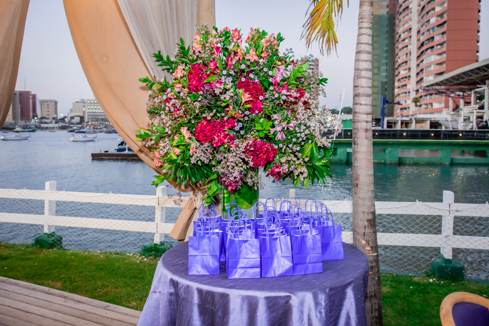 Aniversário De Carol Ragazzi (5)