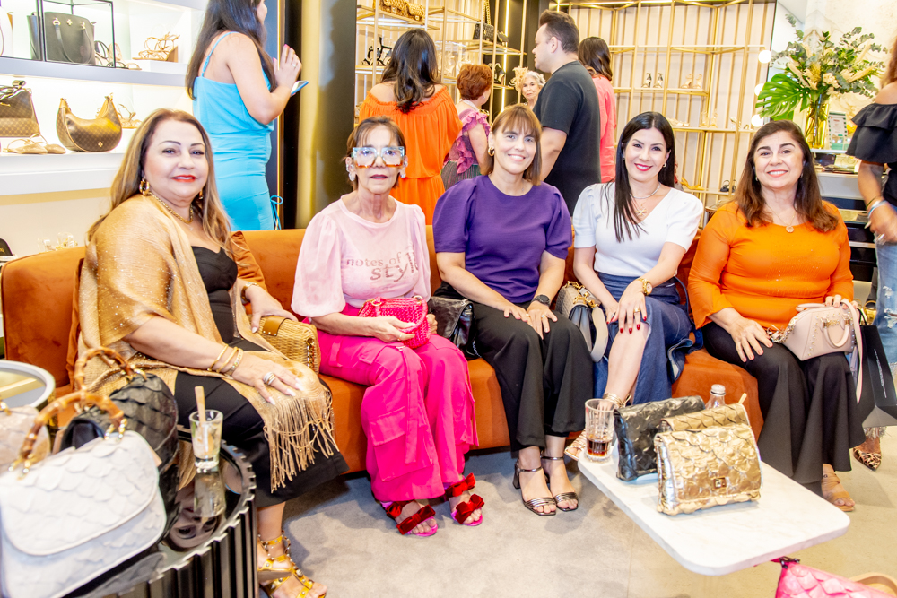 Iveuda Bessa, Inês Mesquita, Fernada Salazar, Lia Linhares E Lucitânia Feijão (3)