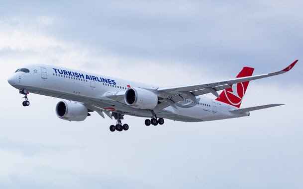 Turkish Airlines aumenta a frequência de voos ao Brasil e à Argentina