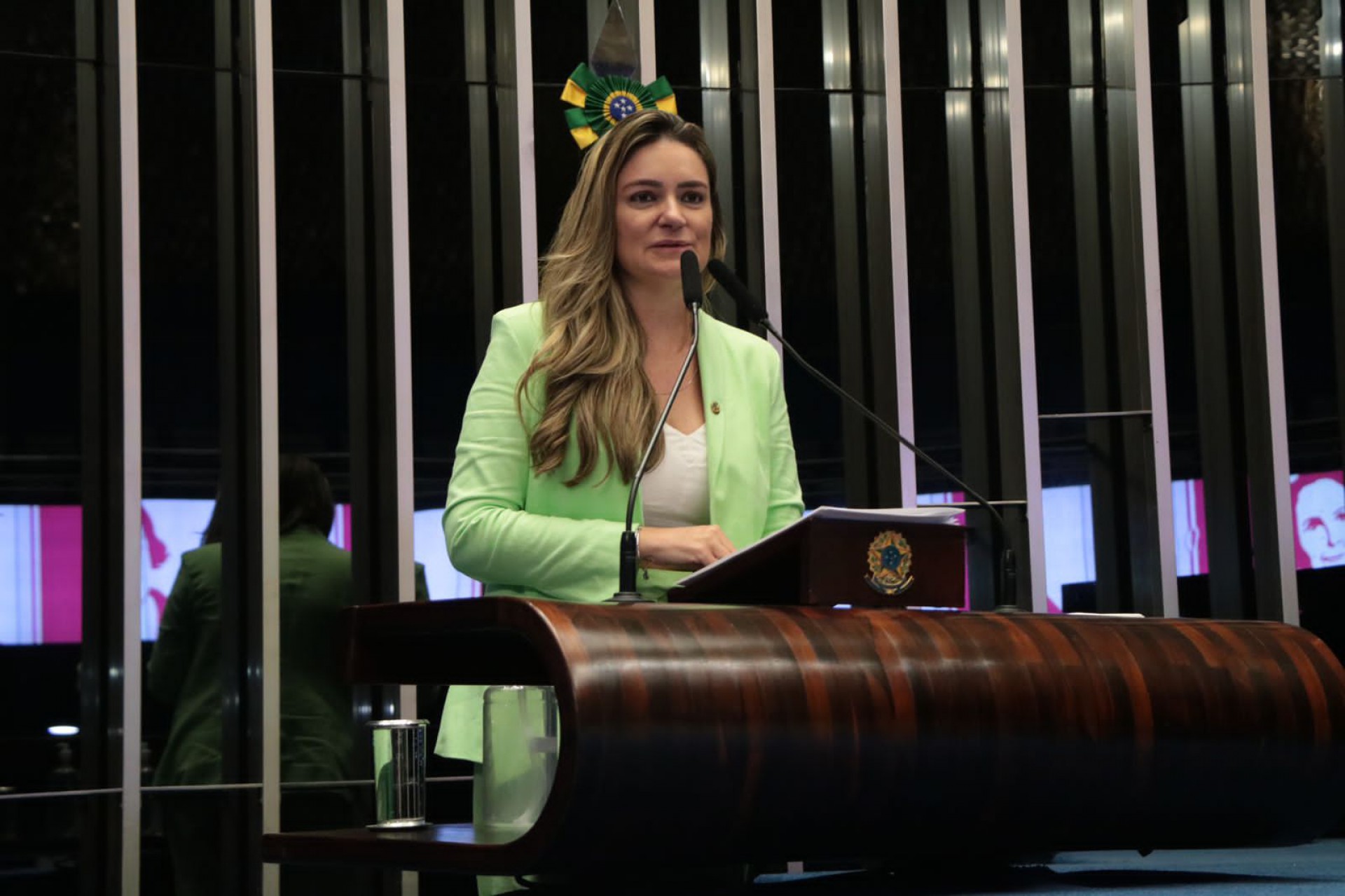 Sob relatoria de Augusta Brito, Senado autoriza empréstimo de US$ 129,5 milhões para agricultura no Nordeste