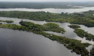 Amazônia Agência Brasil