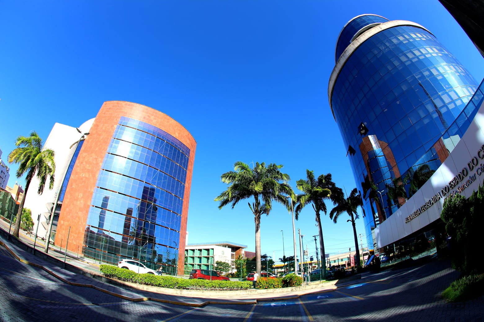 Sessão solene na Assembleia celebra Dia do Vaqueiro