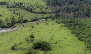 Projeto Rural Na Amazonia Pnud Imposto Territorial Rural Foto Mma