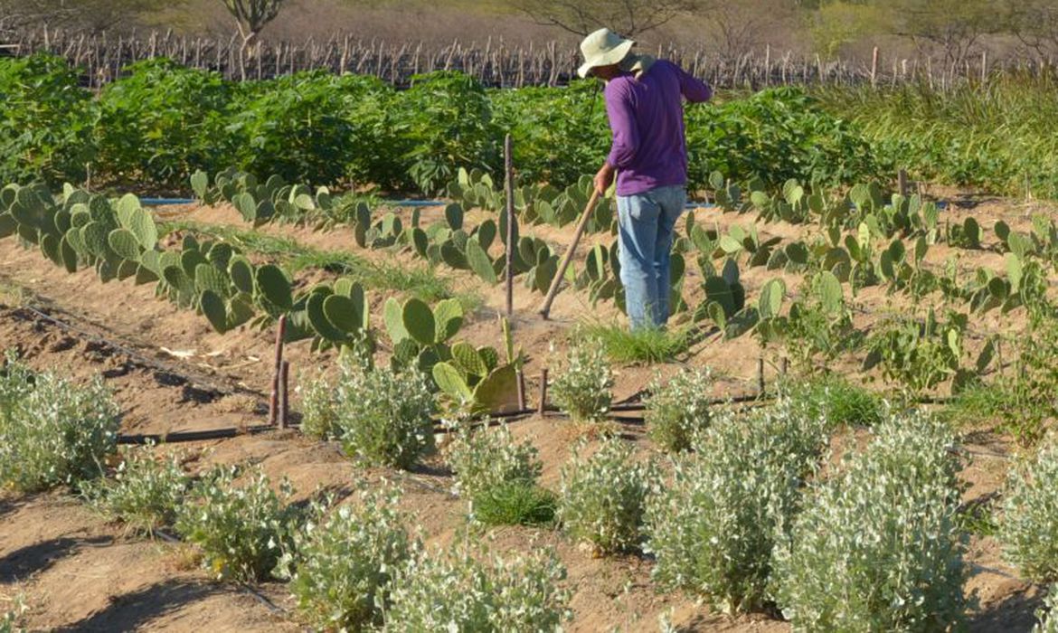 Inadimplência atinge 28% dos produtores rurais no país