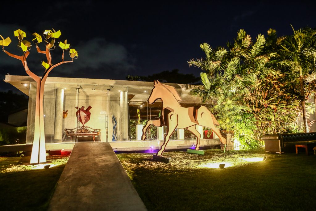 Celio Gurgel Afiado (12)