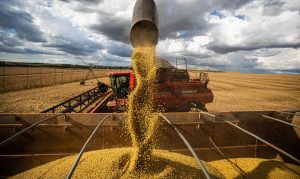 Safra Soja Máquinas E Equipamentos Máquinas Agrícolas Foto Cna Trilux