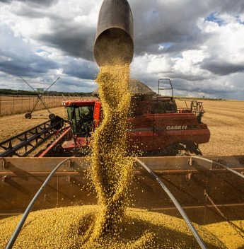 Fertilizantes: Brasil importa volume recorde de 2,77 milhões de toneladas em janeiro