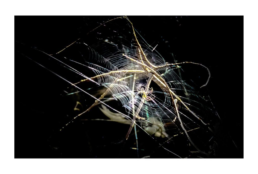 Whatsapp Image 2023 09 20 At 17.04.07