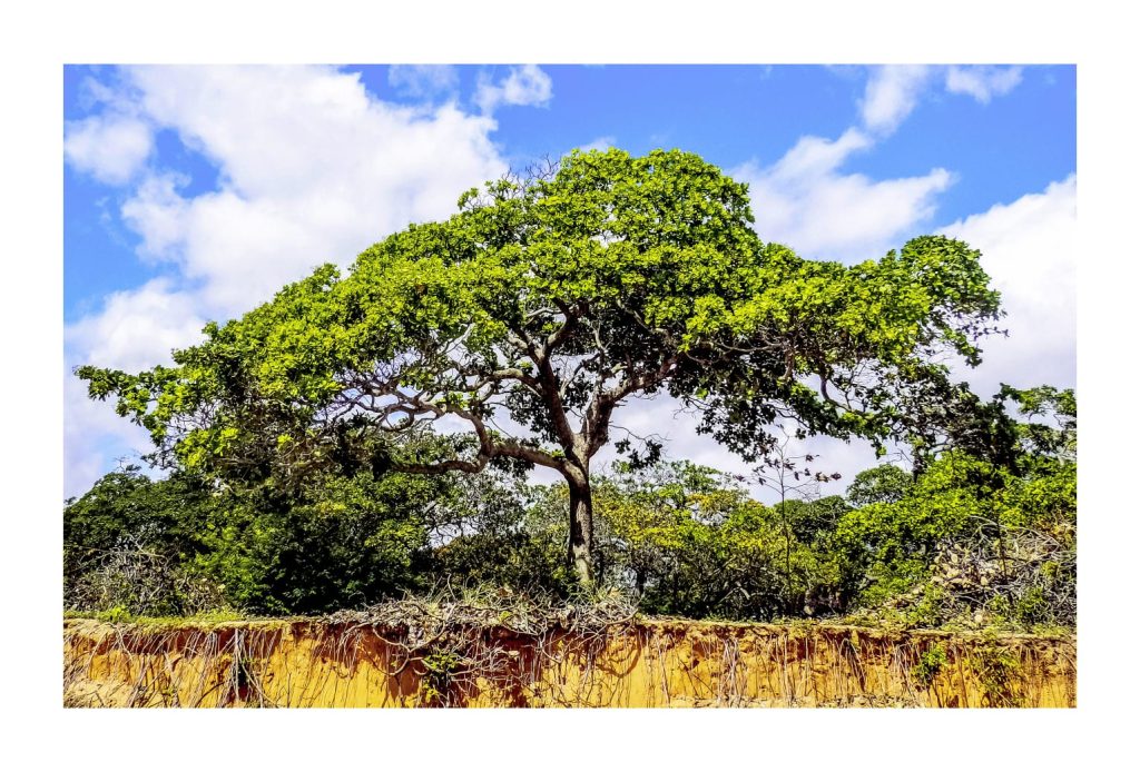 Whatsapp Image 2023 09 20 At 17.04.08 (2)