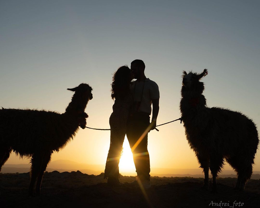 392945006 18388307692063729 4084307812267103368 N