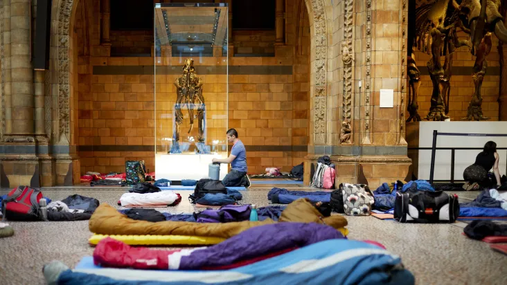 Dinosnores For Grown Ups