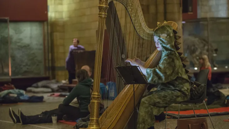 Dinosnores Museu Historia Natural Londres