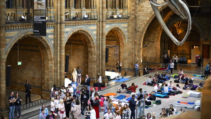 Dinosnores Museu Londres