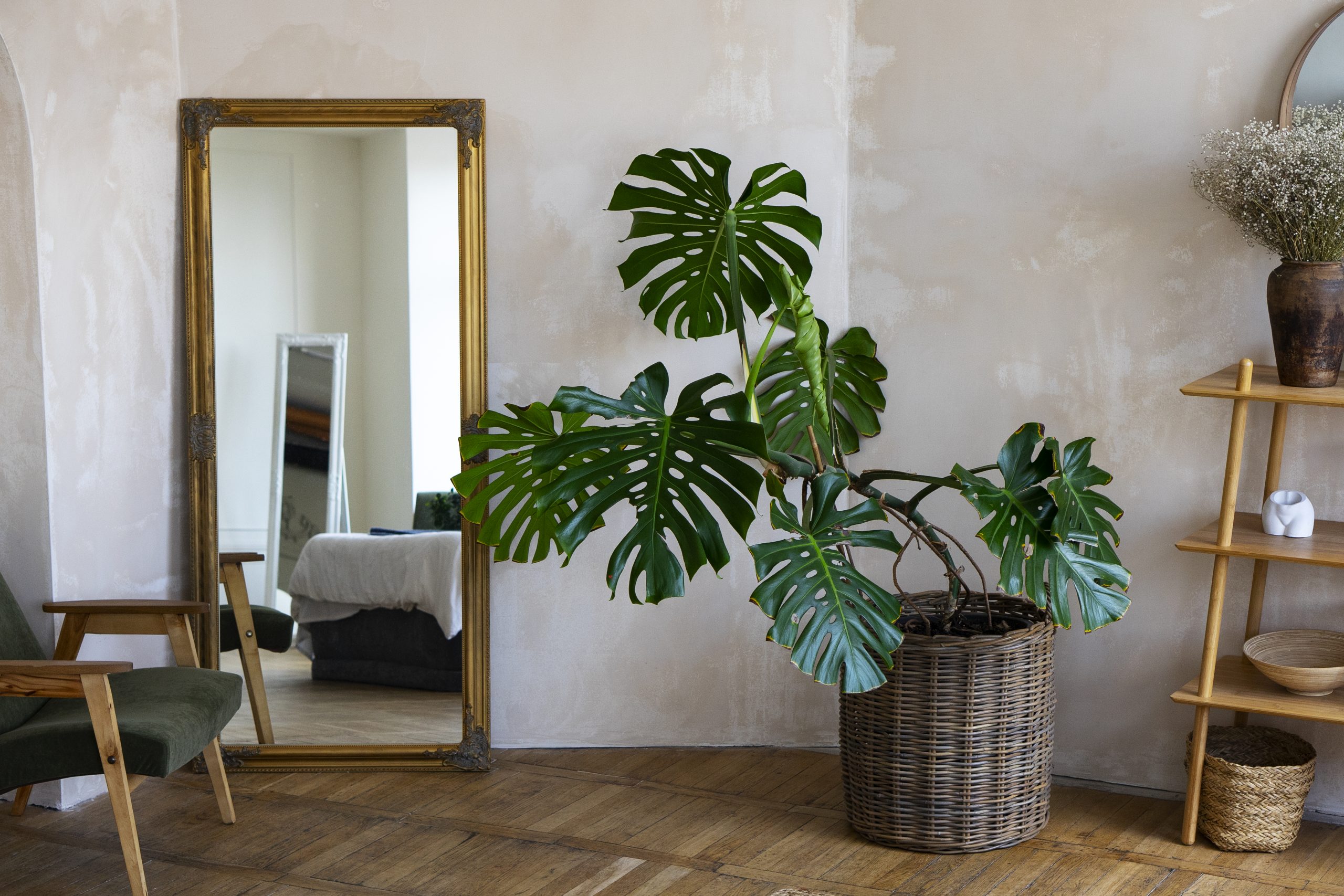 Decoracao Do Quarto Com Planta Mostera E Prateleira De Madeira