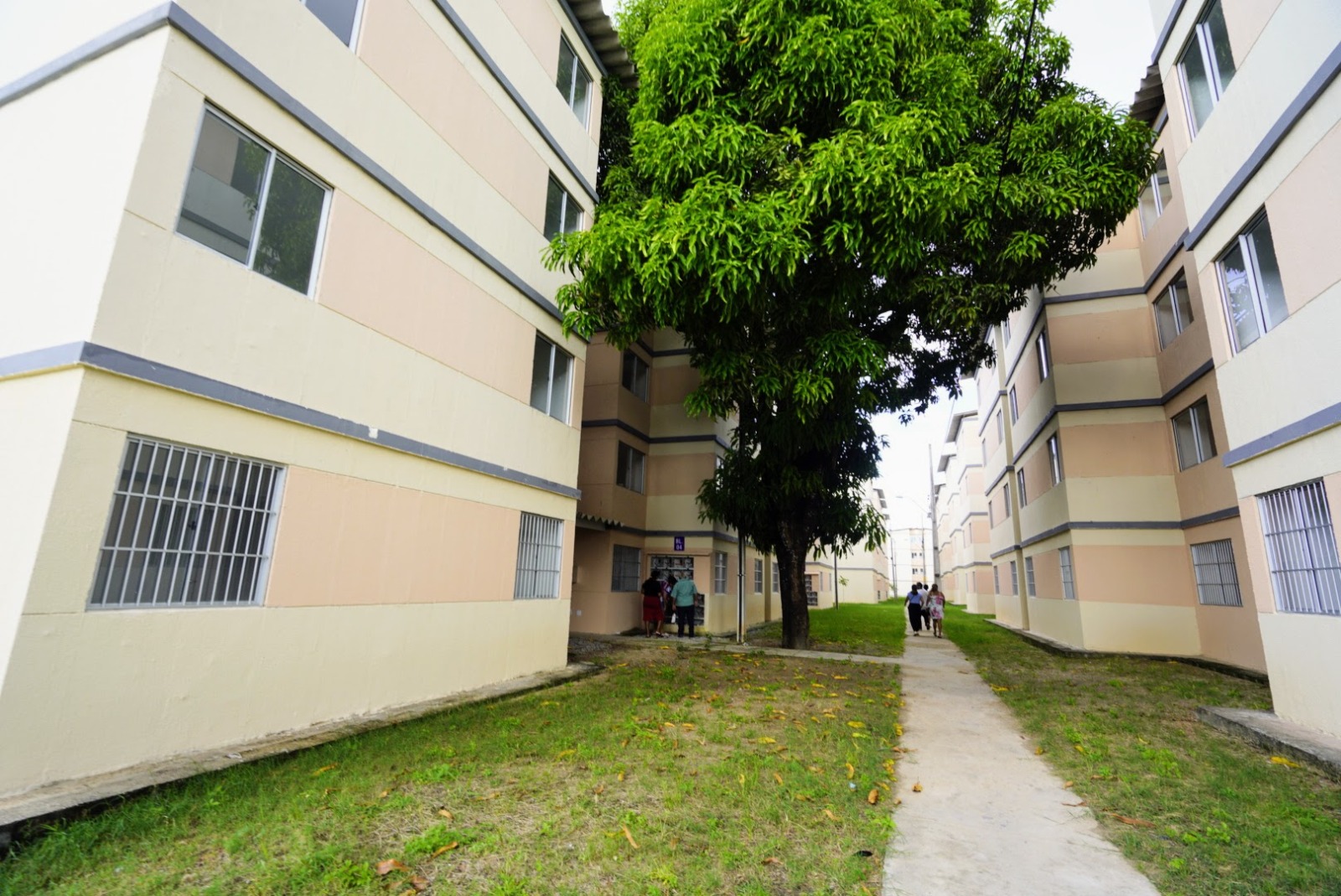 Governo do Ceará tem crédito aprovado para construção de 1.088 unidades habitacionais do Pró-Moradia em Fortaleza Governo do Ceará tem crédito aprovado para construção de 1.088 unidades habitacionais do Pró-Moradia em Fortaleza