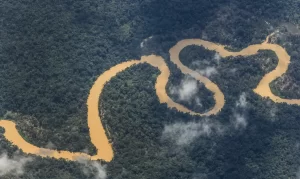 Amazônia Foto Agência Brasilz