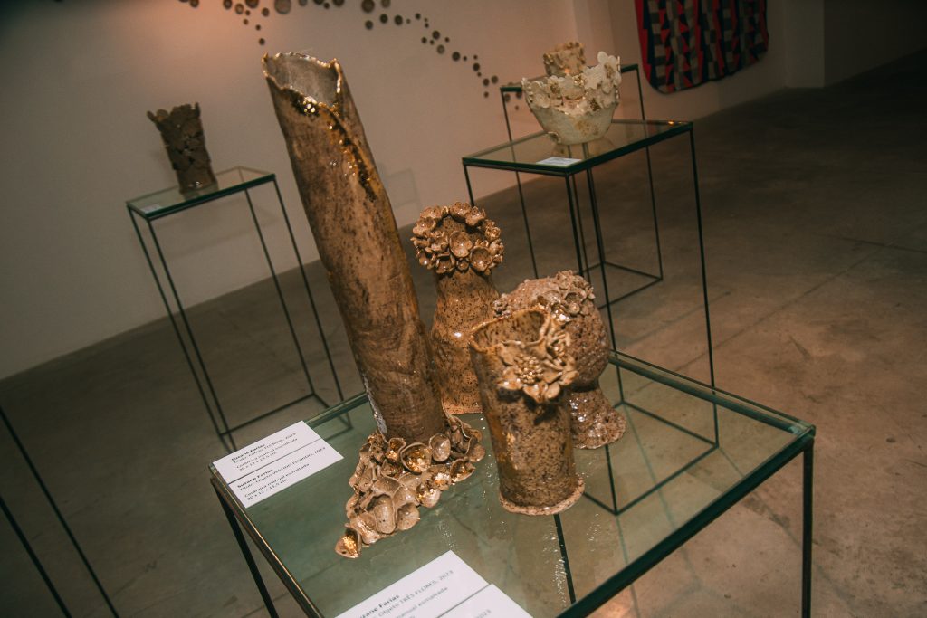 Mostra Abrigo Semente Na Galeria Mariana Furlani (13)