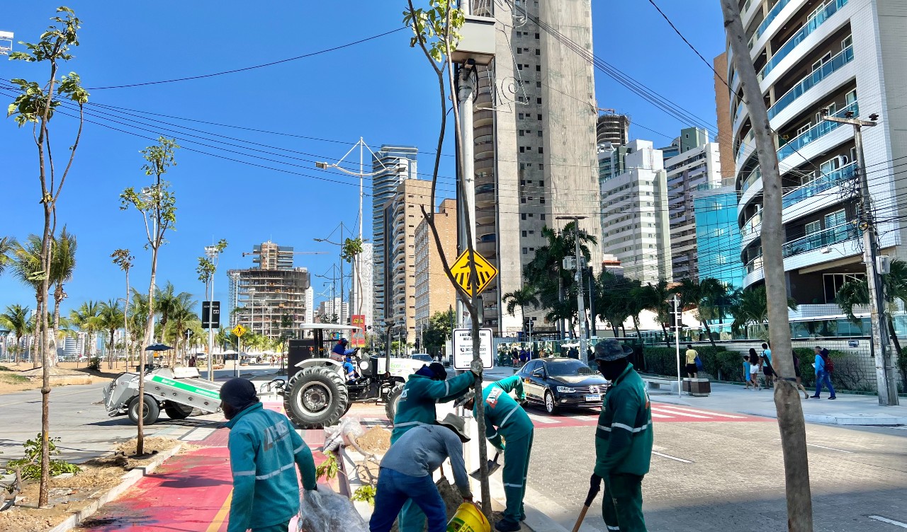 Prefeitura de Fortaleza realiza o plantio de árvores no calçadão Praia de Iracema