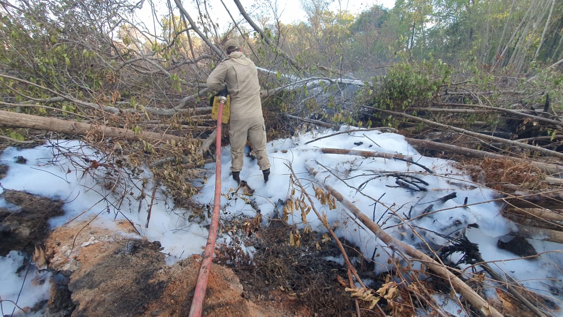 Elmano e CBMCE confirmam que incêndio no Parque Estadual do Cocó está controlado