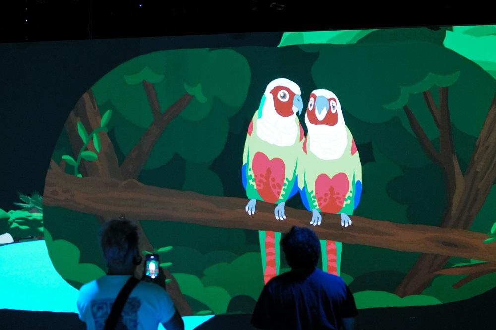 Museu da Imagem e do Som abre instalação audiovisual imersiva sobre aves do Ceará