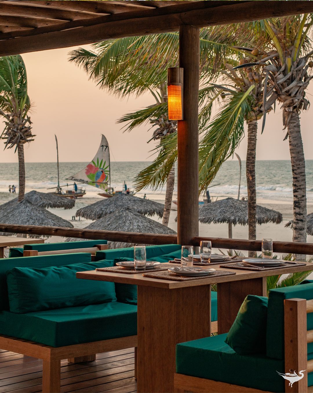 Insta Save.net Instagrampost Vilaselvagem 3167749634818673749