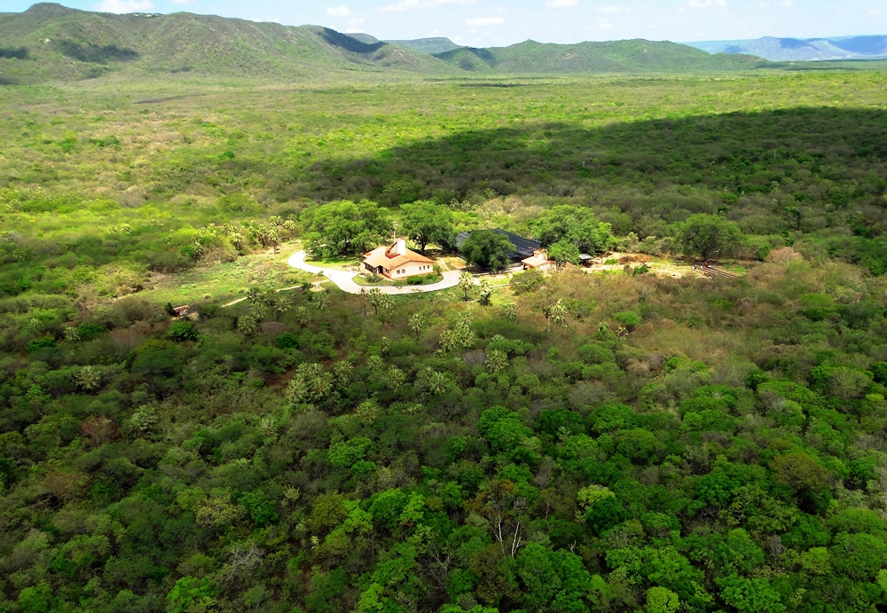 Beach Park adota área em reserva natural para compensar suas emissões de CO²