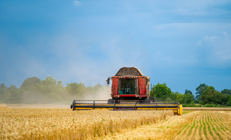 Aplicação do crédito rural chega a R$ 270 bilhões em sete meses do Plano Safra 2023/24