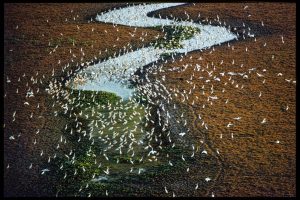 B0992ced6fea5c0fa9dbb1c8dfef76a5 (1)