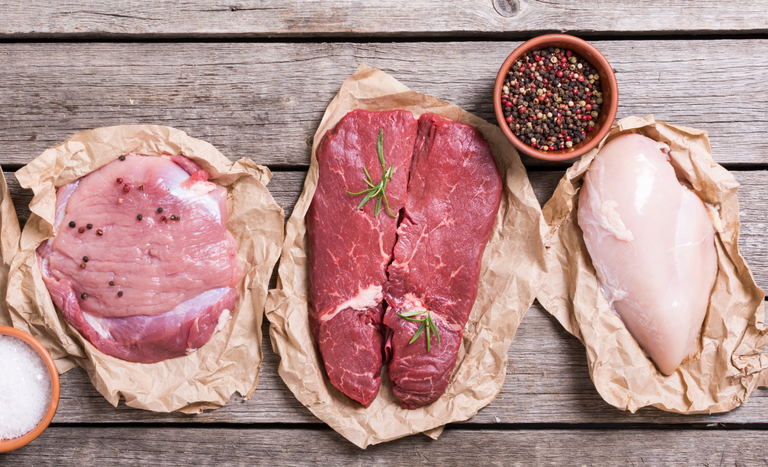 Brasil firma acordo com o Egito para exportar carnes