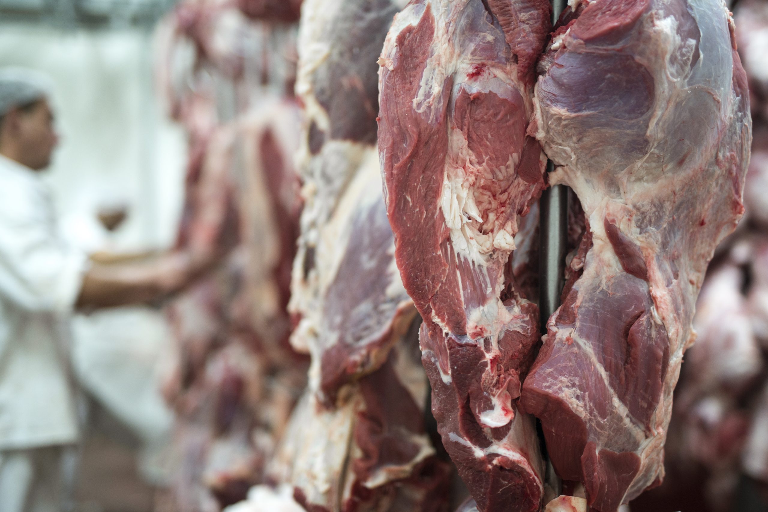 Singapura abre mercado para extrato de carne bovina brasileira