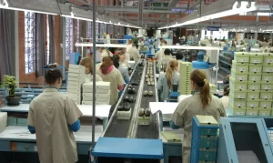 Produção Industrial, Indústria, Trabalhadoras, Mulheres, Fábrica De Calçados Foto Cni