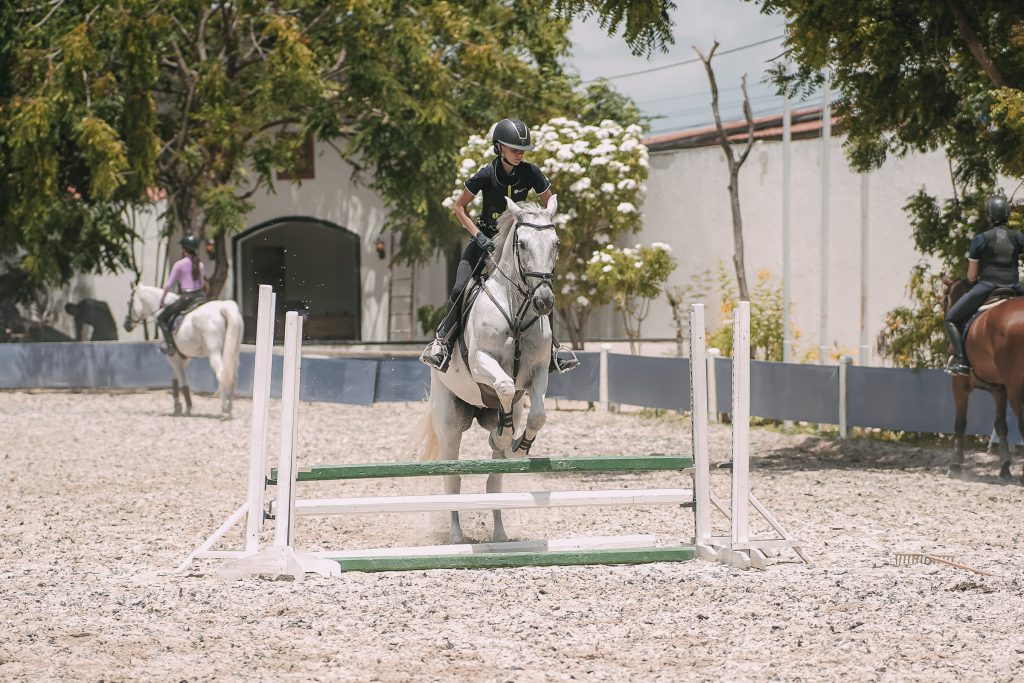 Sarah Cavalcanti (2)