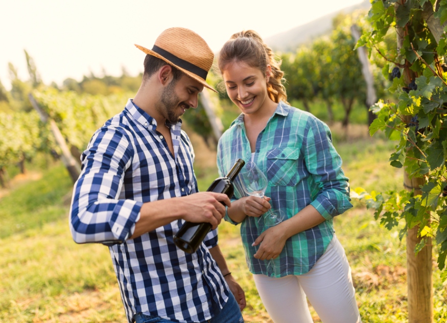 Rota dos Vinhos nordestina é passeio pela cultura e gastronomia  regionais