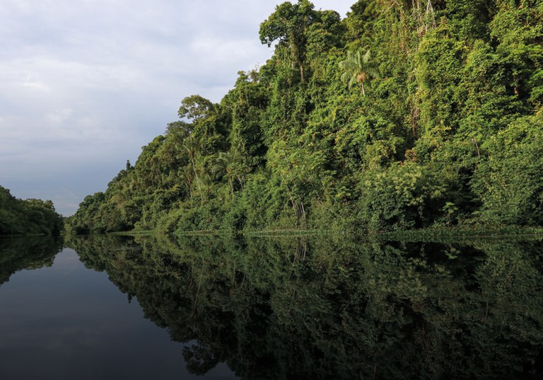 Novo Fundo Clima terá R$ 10,4 bilhões para projetos que promovam o desenvolvimento sustentável