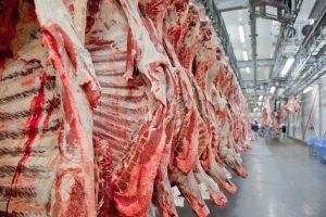 Frigorífico, Carne Bovina Foto Agência Brasil