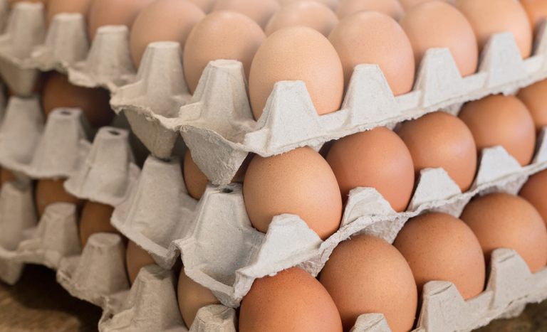 Rússia abre mercado para ovos e derivados brasileiros