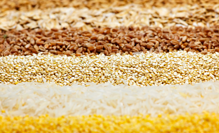 Arábia Saudita abre mercado para sementes brasileiras