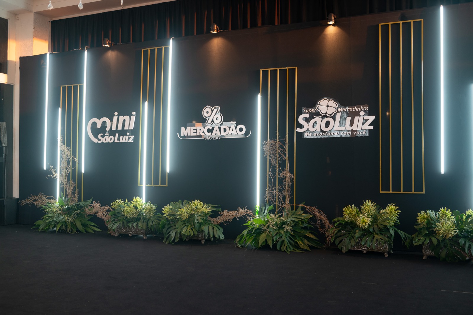 Grupo MSLZ: São Luiz apresenta novo posicionamento institucional
