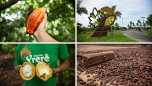 Destnos Turísticos Cacau Foto Mtur