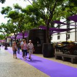 Festa Do Vinho 3 Crédito Turismo Da Madeira.jpg