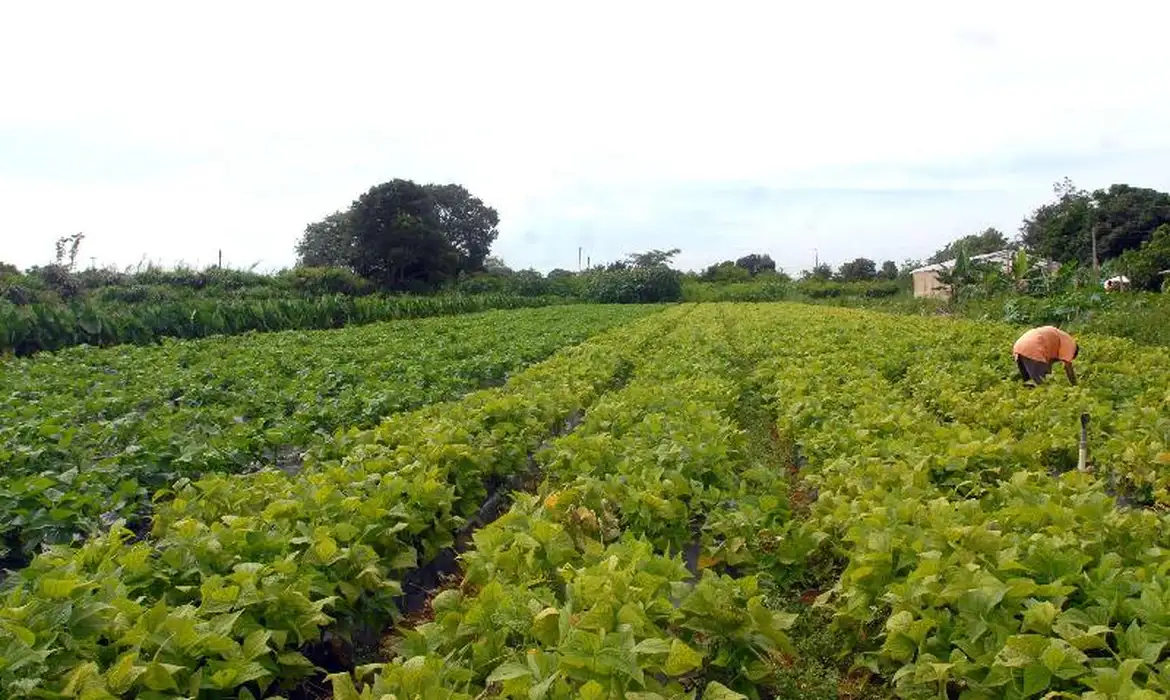 Governo do Ceará e prefeituras firmam parceria para garantir segurança agrícola no Estado