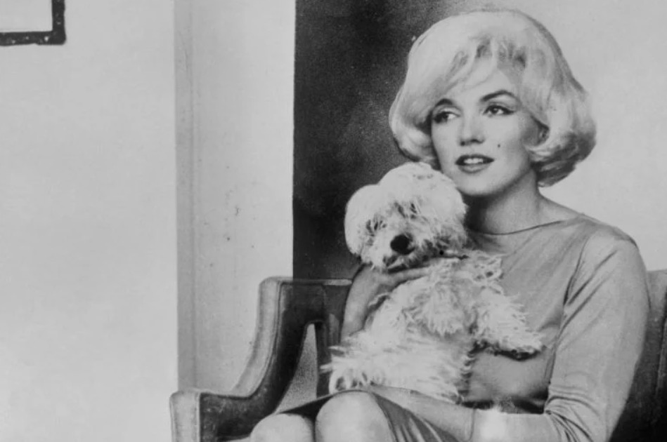 Marilyn Monroe: vestido usado pela estrela é leiloado por R$ 1,6 milhão, nos EUA