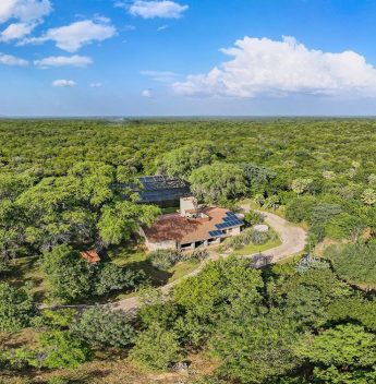 Caatinga: bioma exclusivamente brasileiro oferece destinos de ecoturismo