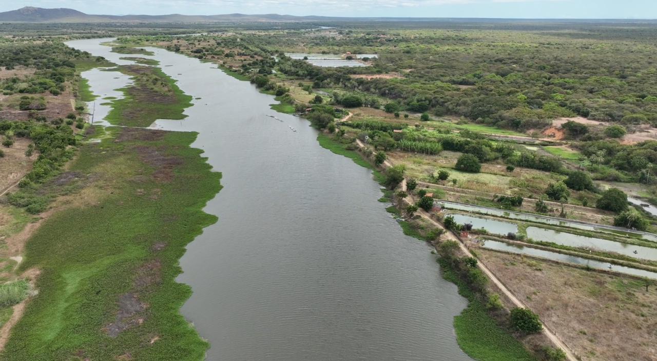 Governo do Ceará lança maior projeto de reflorestamento da região do Jaguaribe