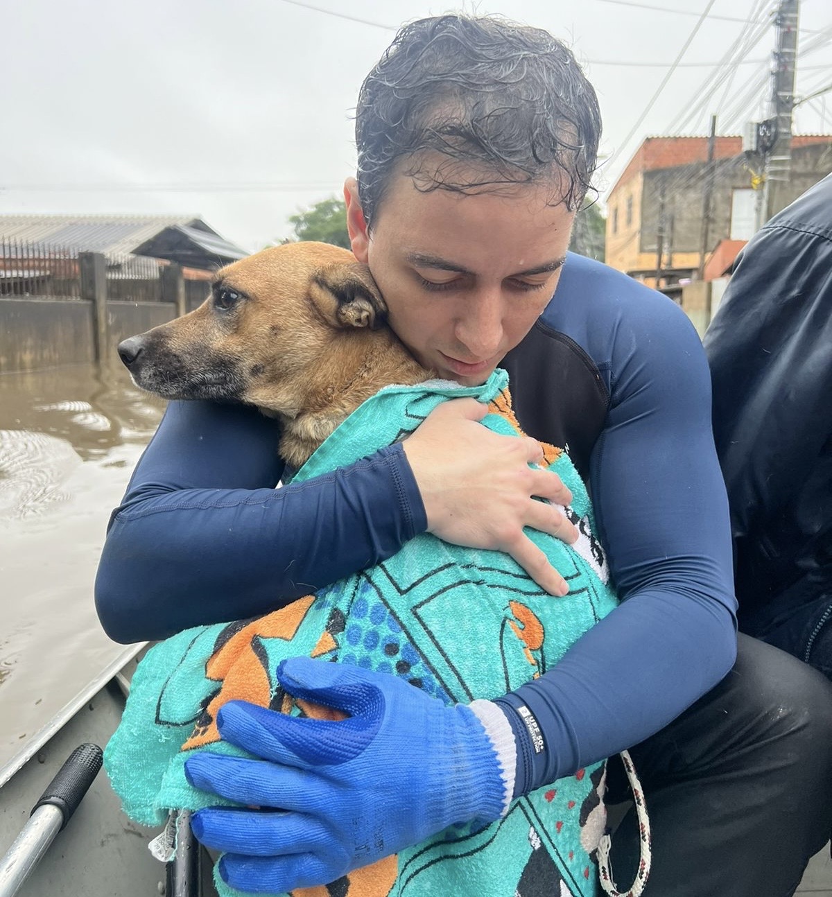 Célio Studart adota cachorrinha resgatada no Rio Grande do Sul
